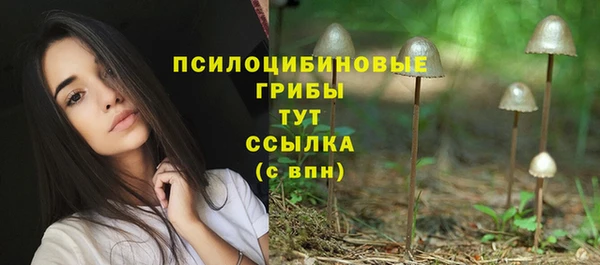 дмт Баксан