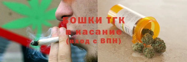 МДПВ Нея