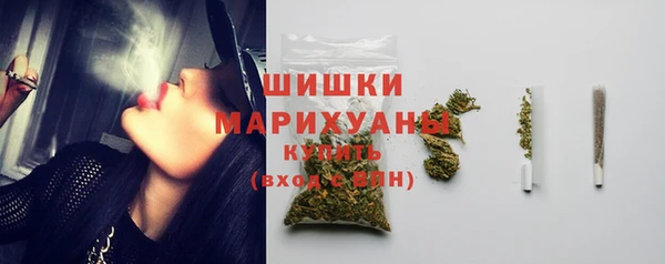 МДПВ Нея