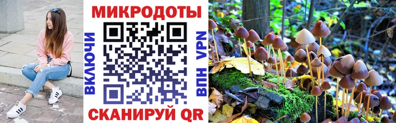 Псилоцибиновые грибы Cubensis  Калининец 